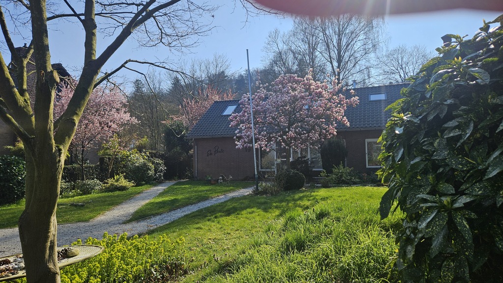 The front view of the house, featuring our garden path and our blooming pink magnolia tree.