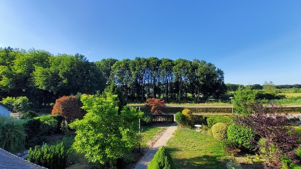 View from window on first floor