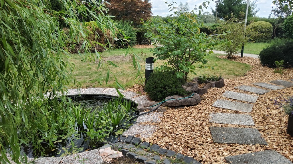 Front garden with pond