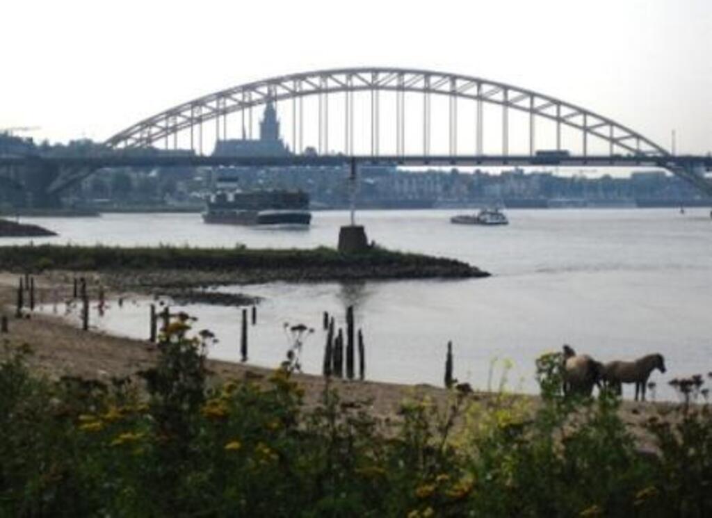 River Waal and Waalbridge