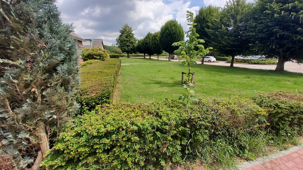 This grass pitch next to our house often used to play ball games like football.
