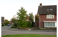 gelegen aan een plantsoen, het huis van mijn vriendin is in Dordrecht aan de Oranjestraat 20, zie google maps.