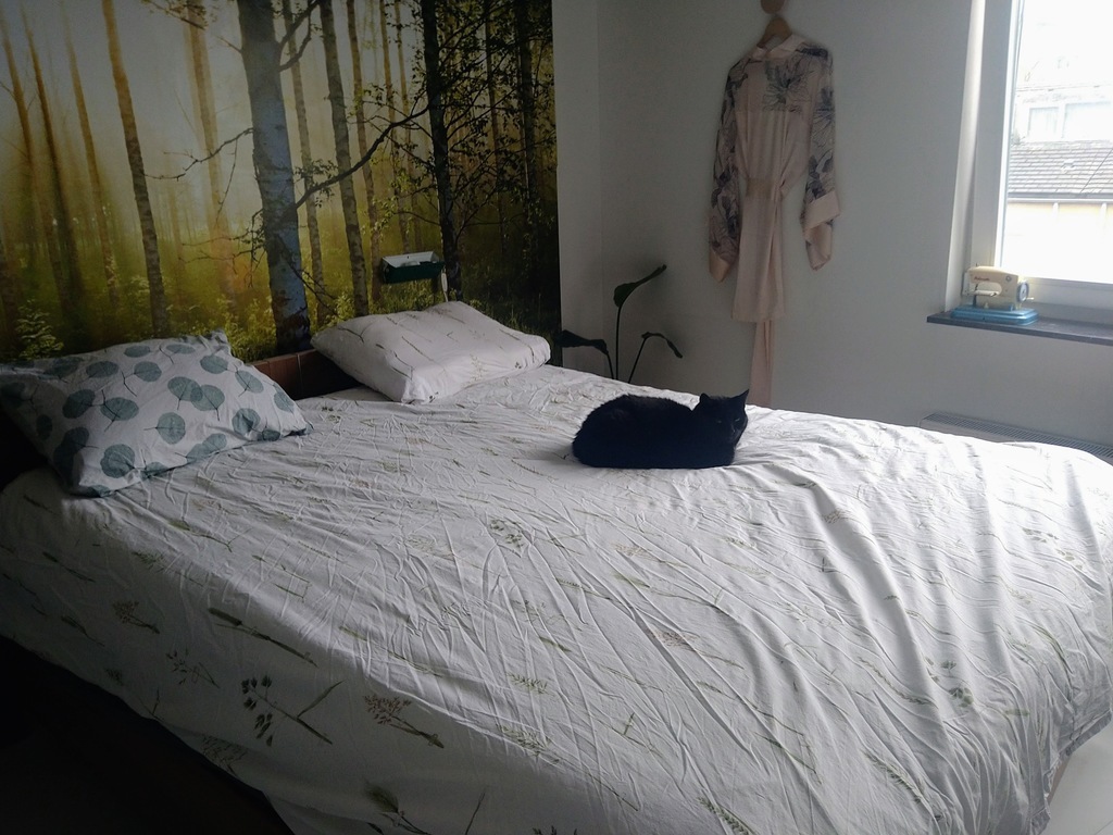 master bedroom (2nd floor)