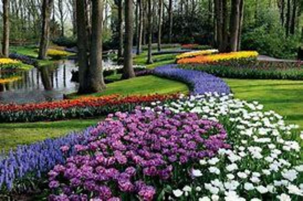 Keukenhof flower bulb park (march - may)