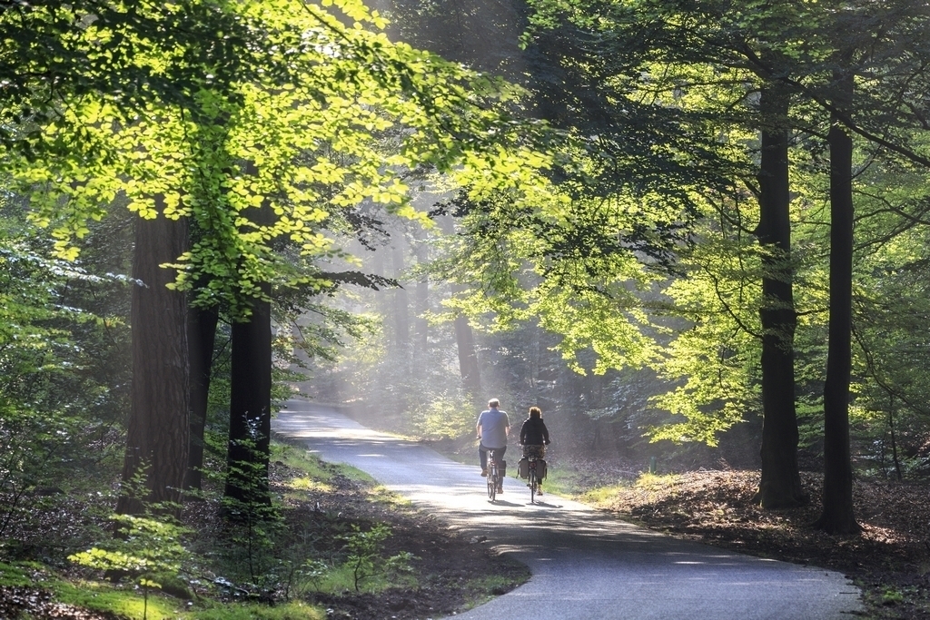 wandelen fietsen 1 km