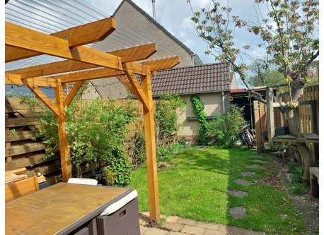 The garden