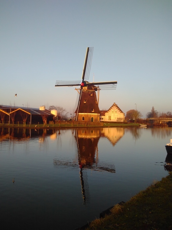 Windmill in Schipluiden