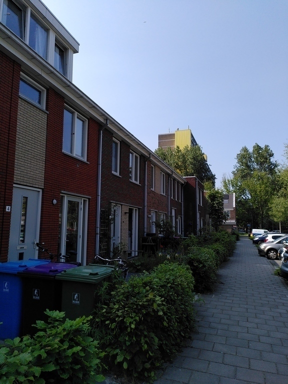 Our street. (A dead-end street, so very little traffic.)