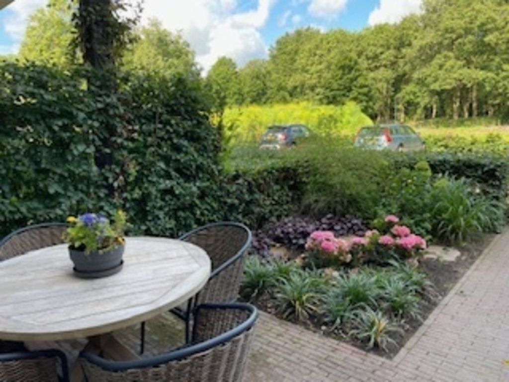 View from Back Garden