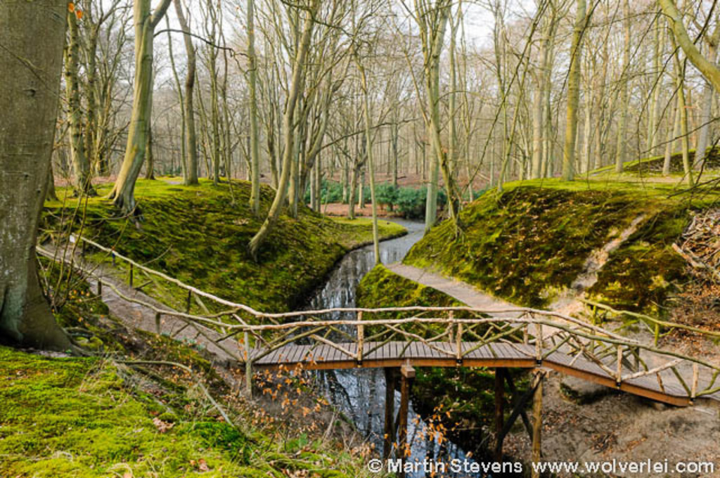 Elswout, beautiful park (2 km) 