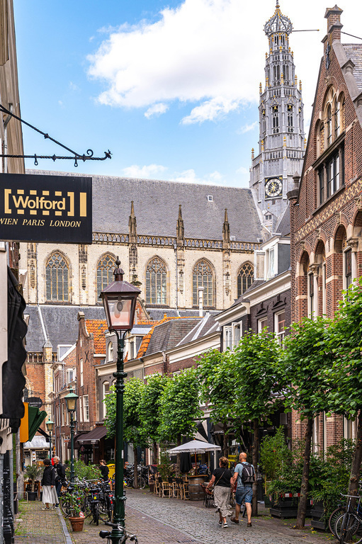 St Bavo Cathedral in Haarlem (1,5 km)