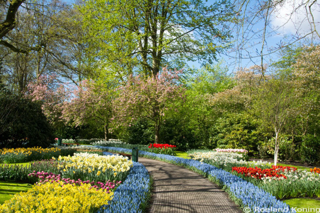 Keukenhof with the famous Dutch flowers (14 km) 