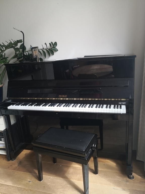 Piano in living room