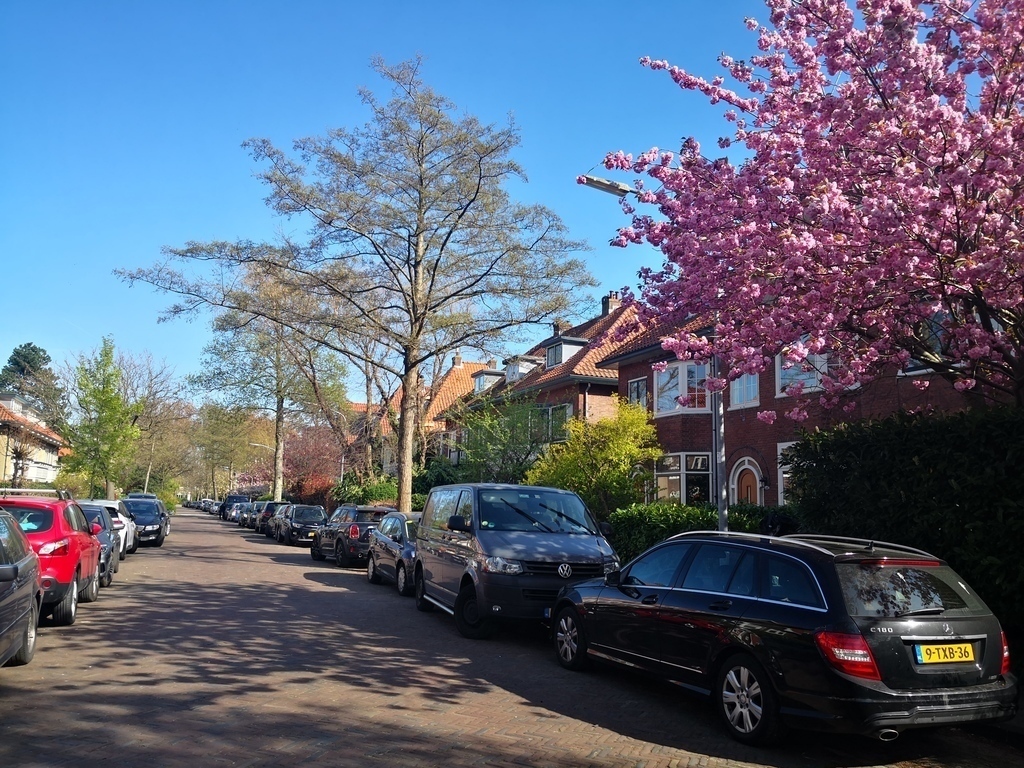Our street in Overveen
