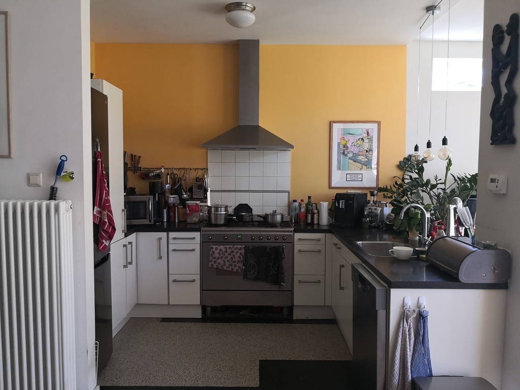 Open Kitchen in Living room