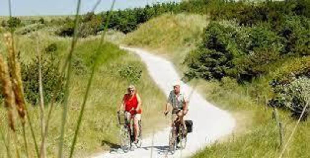 Biking in the dunes, National Park Kennemerduinen (2 km)