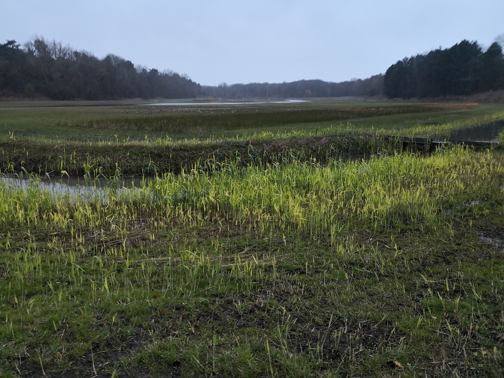 Park Middenduin (2 km) 