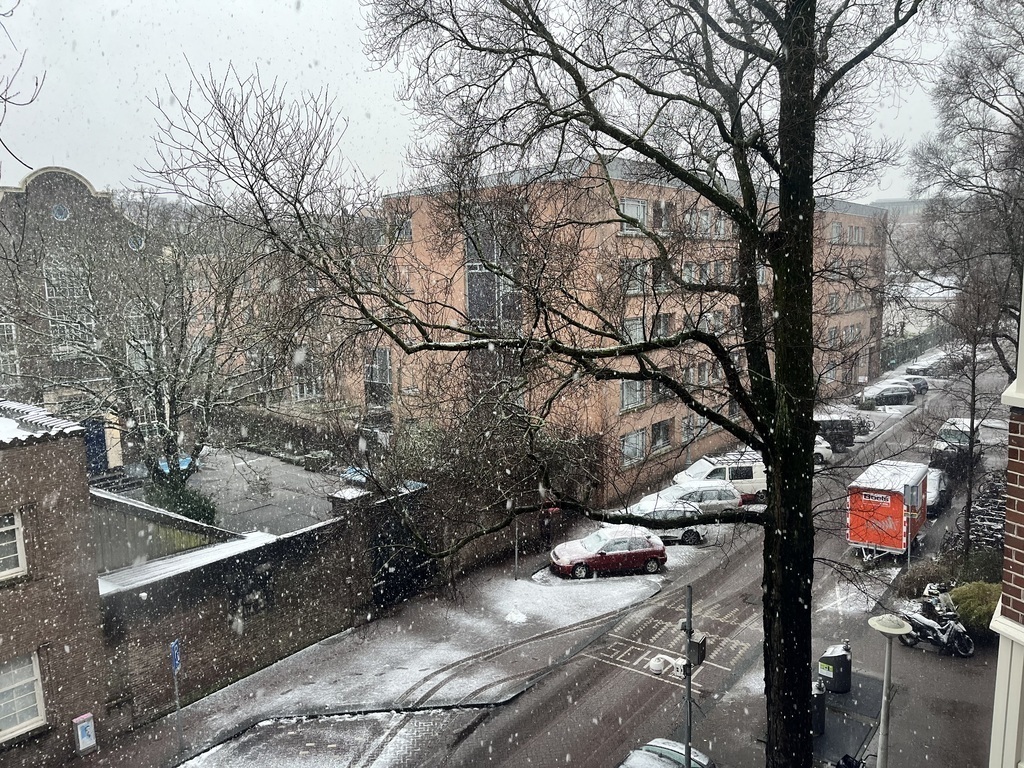 snowing, view from livingroom