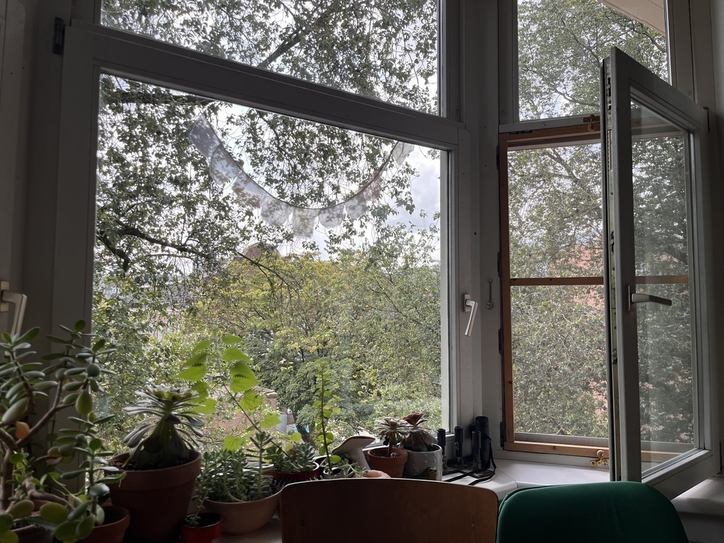you can keep window open in the summer and it's very green