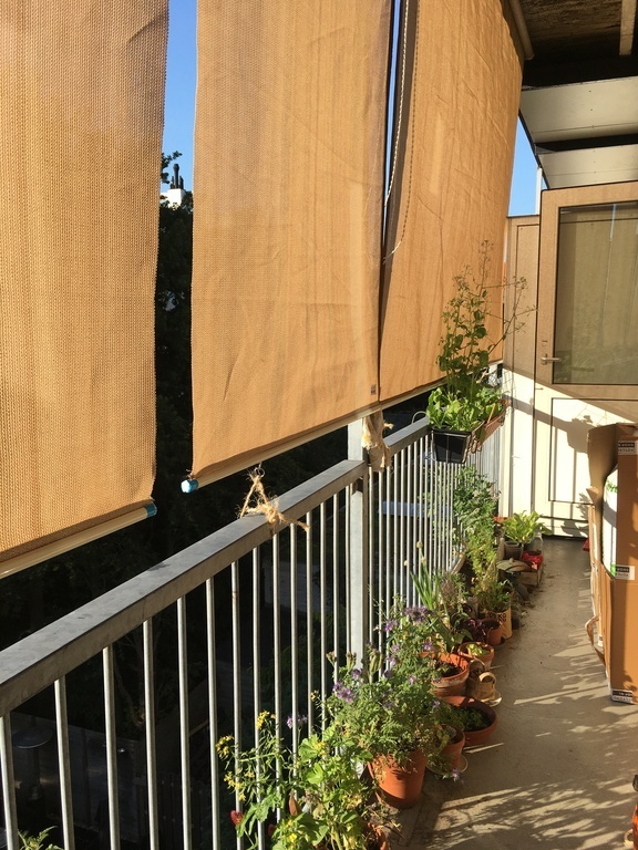 our balcony in the summer