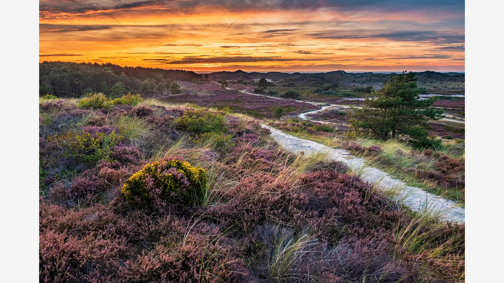 School Nature Reserve, 10 minutes cycle