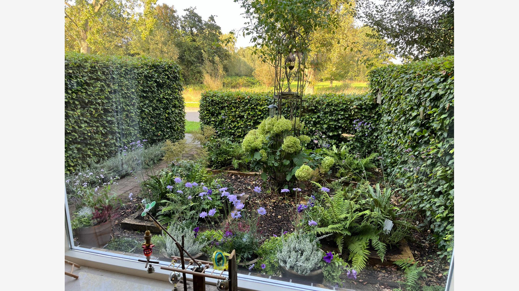 Front garden with view