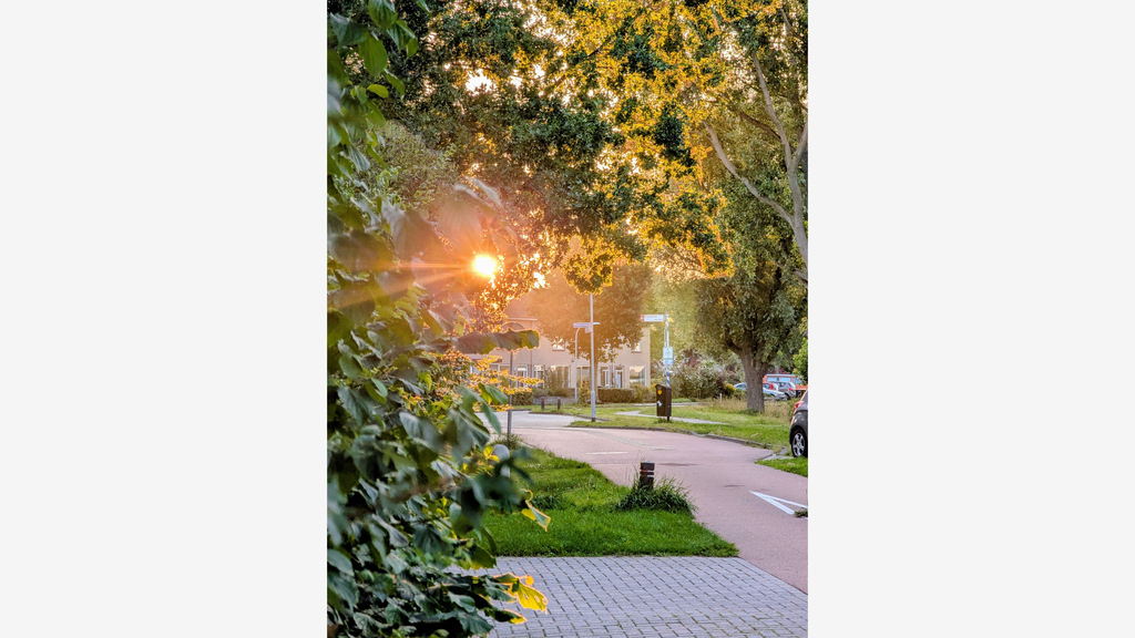 Entrance to our street