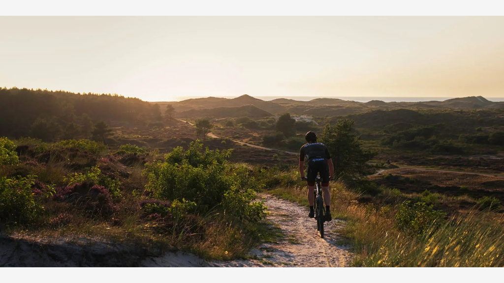 One of the many beautiful routes through the nature reserve of Schoorl (accessible within 5 minutes cycle)