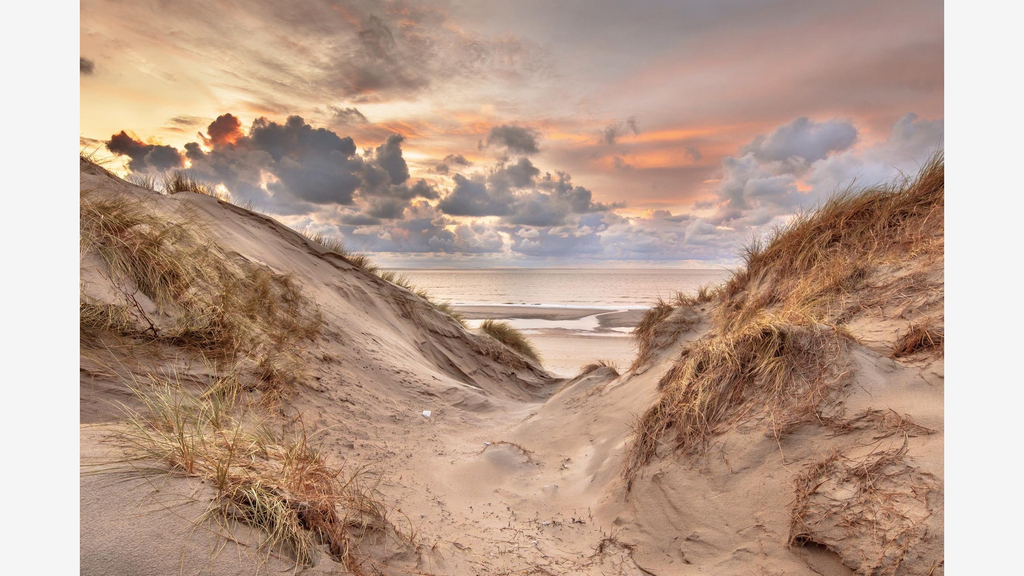 Schoorl Beach