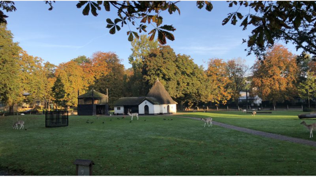 "Hertenkamp" in Bergen, 10 minutes cycle