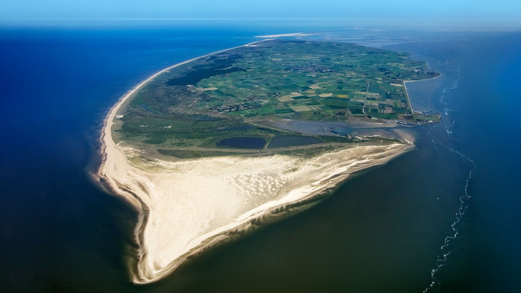 Texel from above