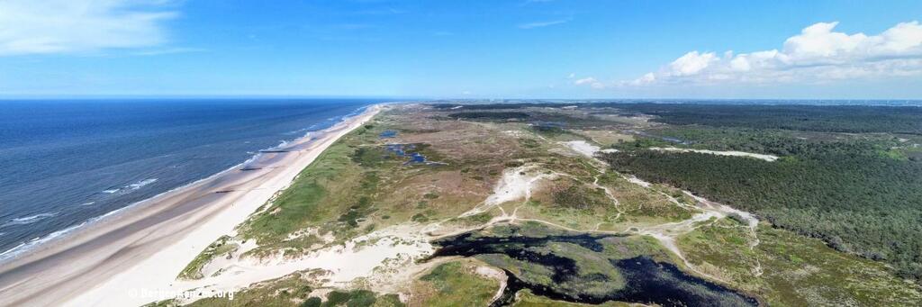 Schoorl beach from above