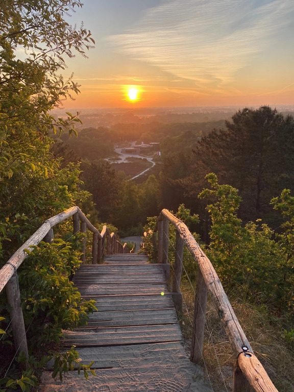 Schoorl Stairs (60m dune)