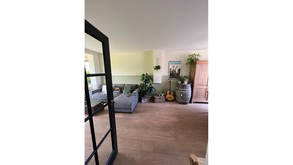 Entrance to our living room, we like plants and a green nature style