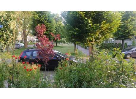 View from living room (with our car)