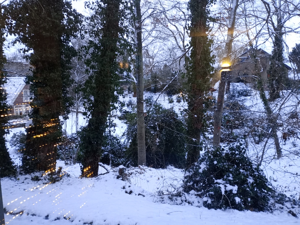 uitzicht vanuit de woonkamer