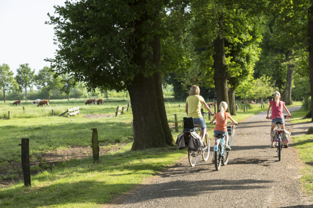 Hengelo is situated in a region called “Twente”. A wonderfull place for cycling and hiking.