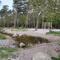 Playing Area / Spielwald (600 m)