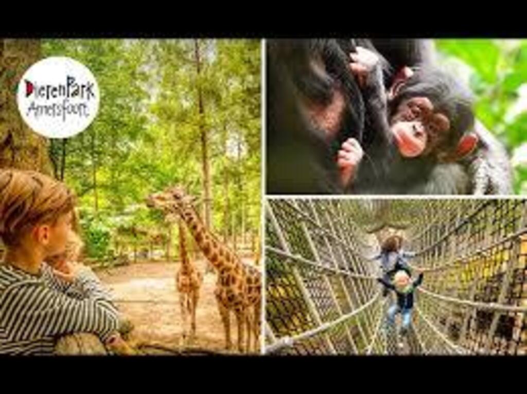 Award winning zoo in Amersfoort at 30 mins by car