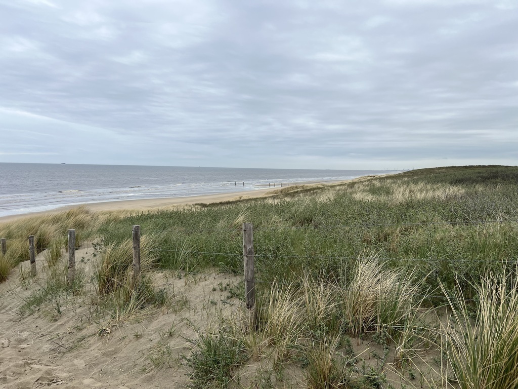 Beach Langevelderslag