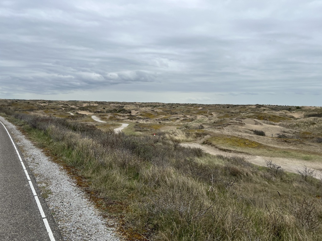 Cycle path along the coast