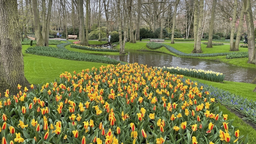 Keukenhof