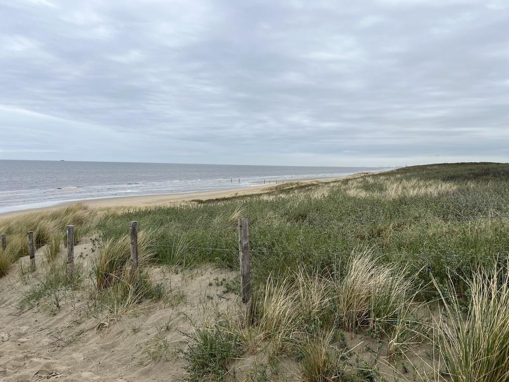 Beach Langevelderslag