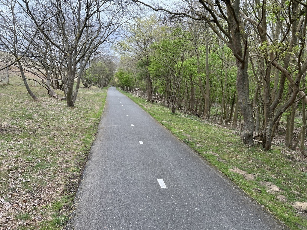 Cycle path along the coast