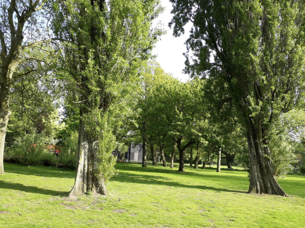 Noorderpark, 200m away from the house