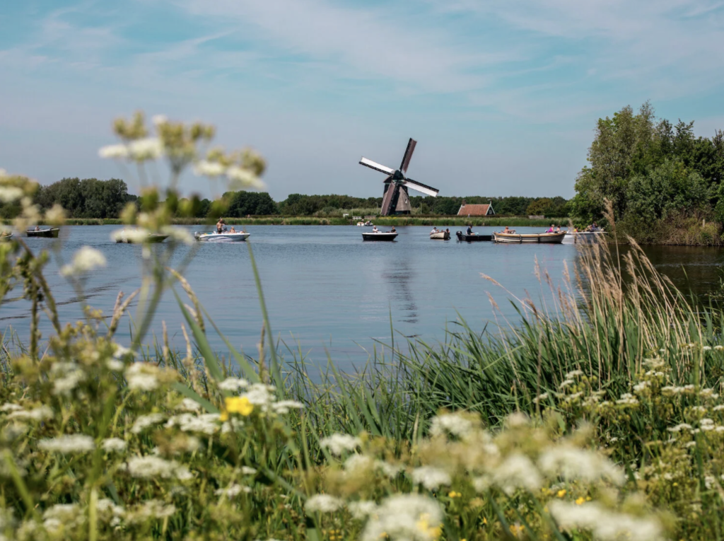 Besides nature (hiking, birdwatching, swimming)  Twiske offers lots of activities such as a climbing park, mountain biking, a...