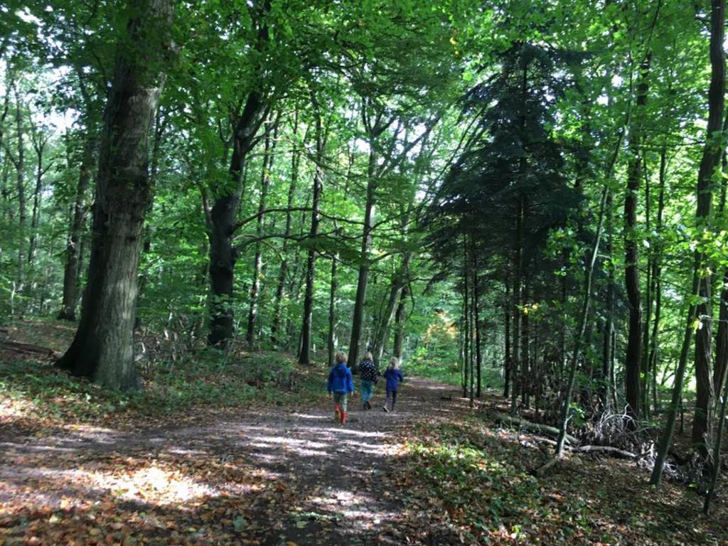 Forest just 5 mins away