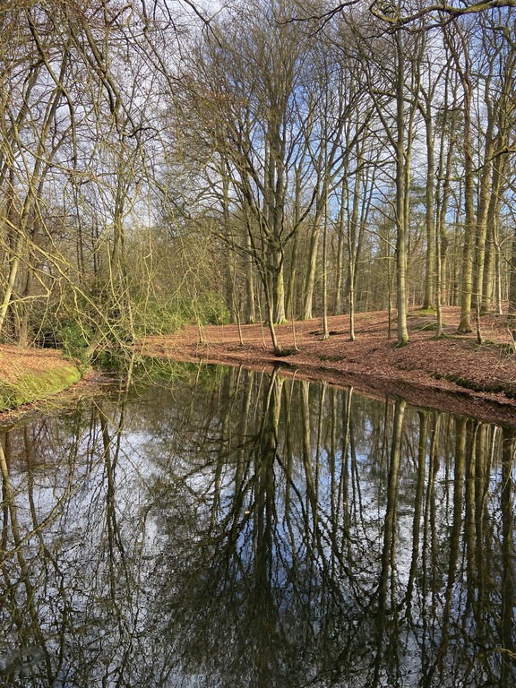 5 mins walk from our home