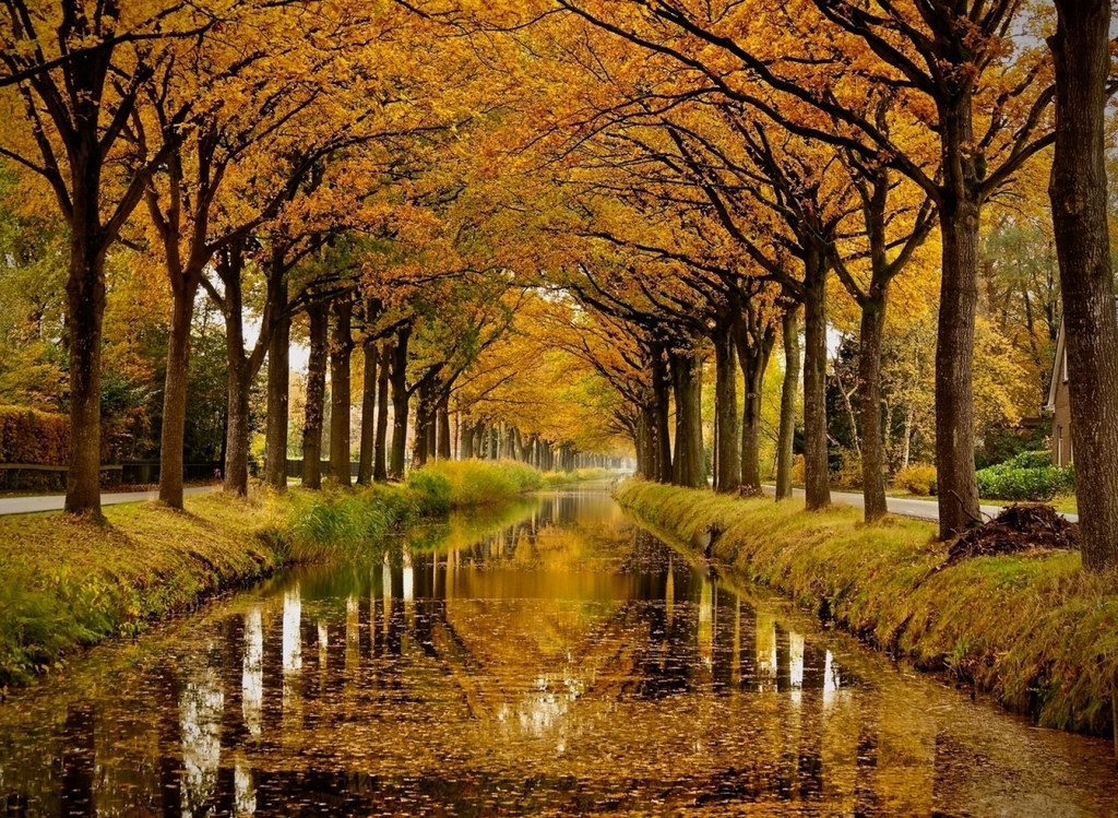 Herfst langs de Compagnonsvaart