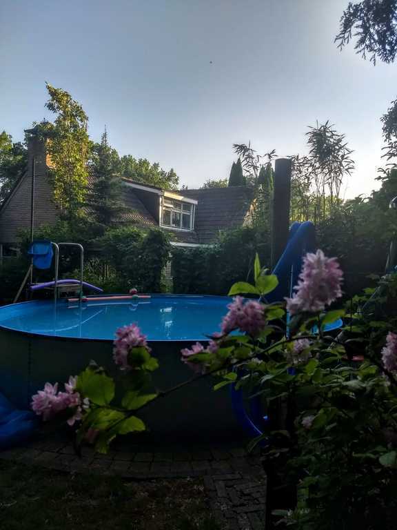 Zwembad achter in de tuin, zeer beschut.